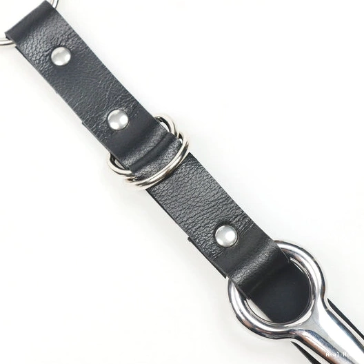 Kinky and Anal Collar 5853 with EverydayUse Hook Leash 0731
